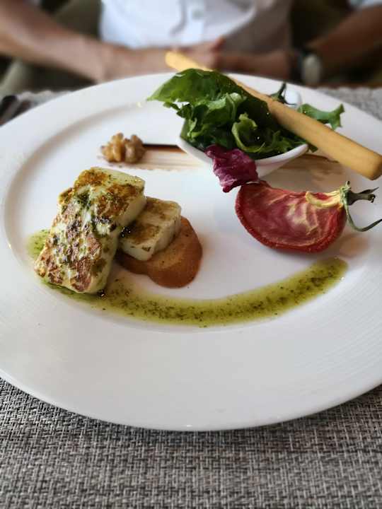 Gastro Acanthus Cennet Barut Collection