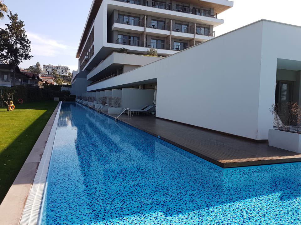 Pool Acanthus Cennet Barut Collection