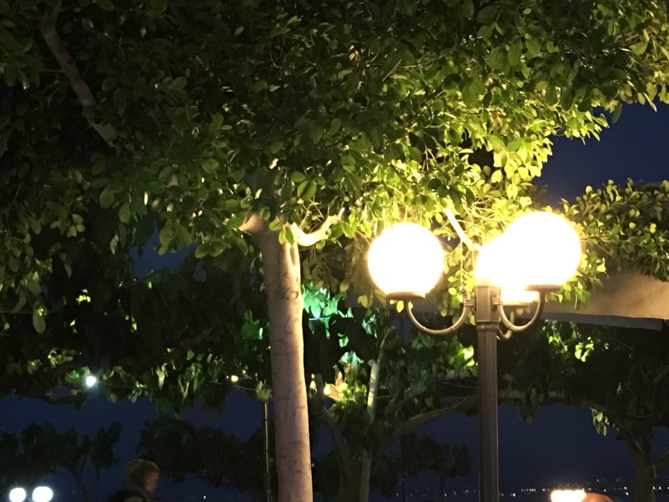 Gartenanlage Corissia Beach Hotel