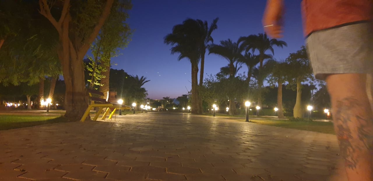 Garten Pharaoh Azur Resort