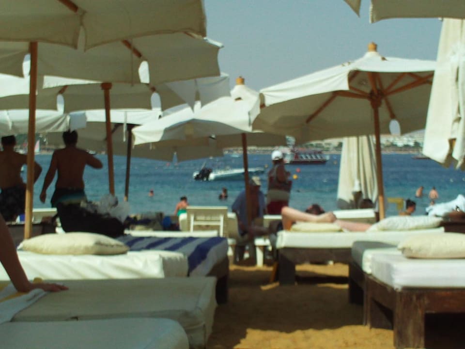 Liege an Liege Hotel Falcon Hills