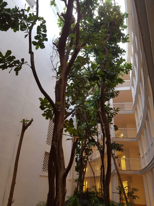 Sonstiges Hotel Riu Palace Tenerife