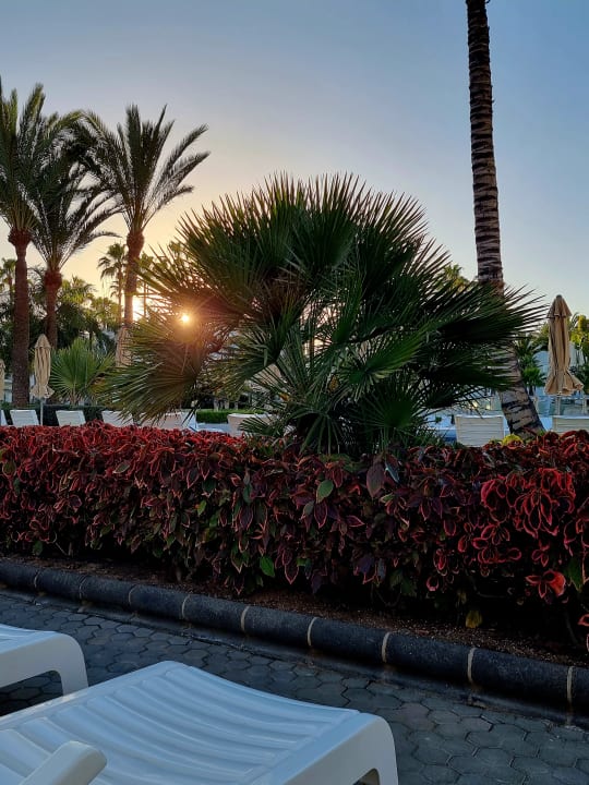 Pool Hotel Riu Palace Meloneras