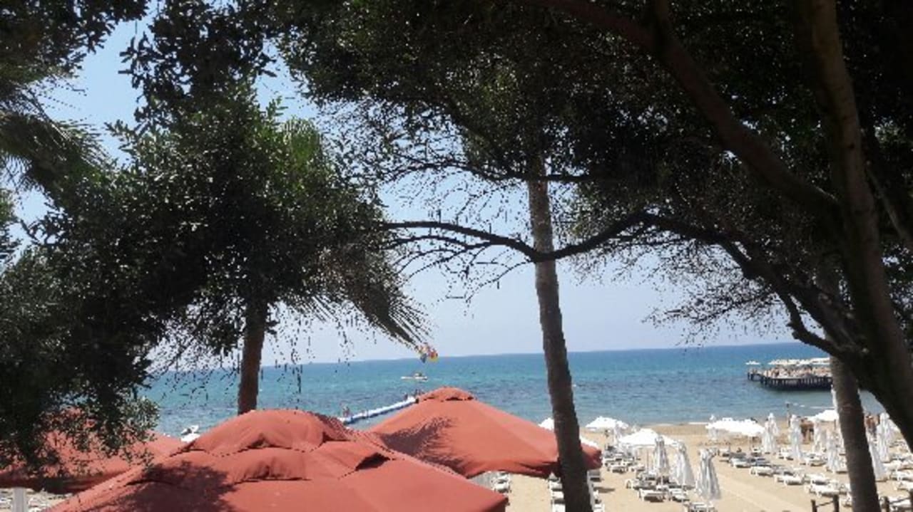 Strand Arum Barut Collection