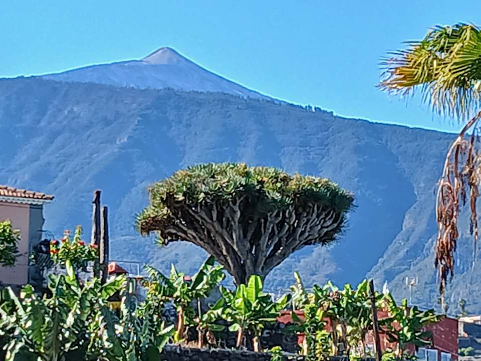Ausblick AluaSoul Orotava Valley