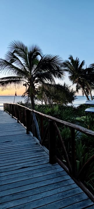 Strand Unico 20°87° Hotel Riviera Maya