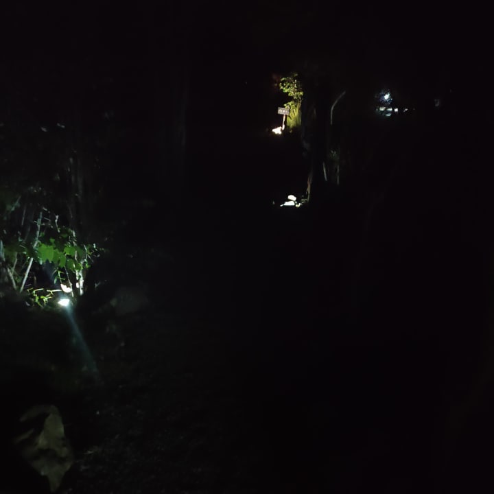 Gartenanlage Etosha Village