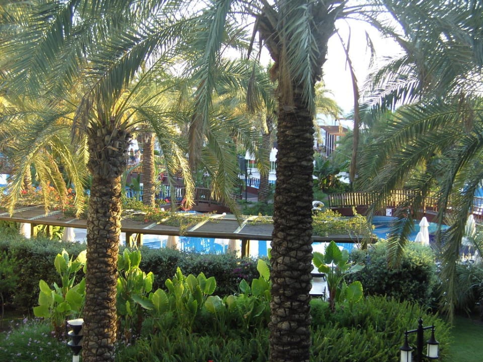 Gartenanlage Sunis Kumköy Beach Resort Hotel & Spa