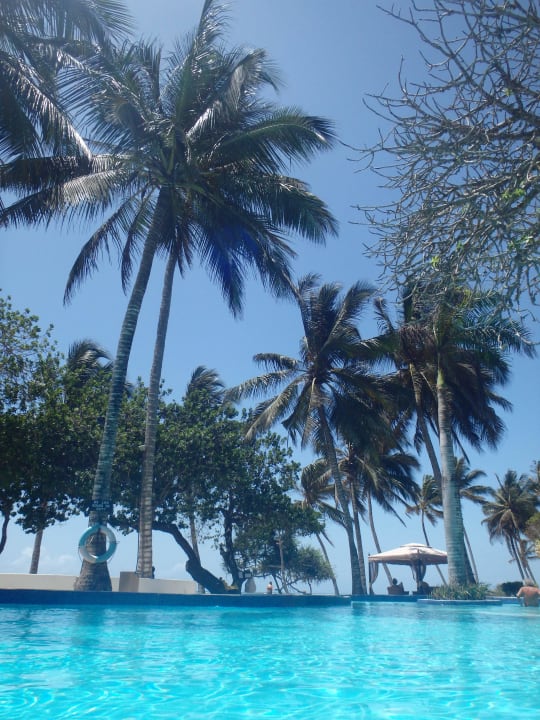 Pool Ocean Village Club