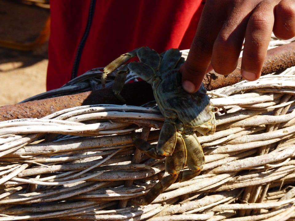 Solaya Strand, lecker Jaz Solaya