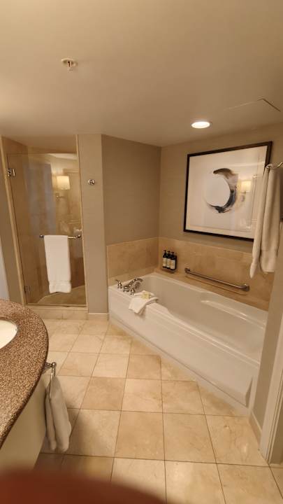 Zimmer Fairmont Vancouver Airport