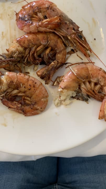 Gastro Sentido Fido Punta del Mar – Adults only