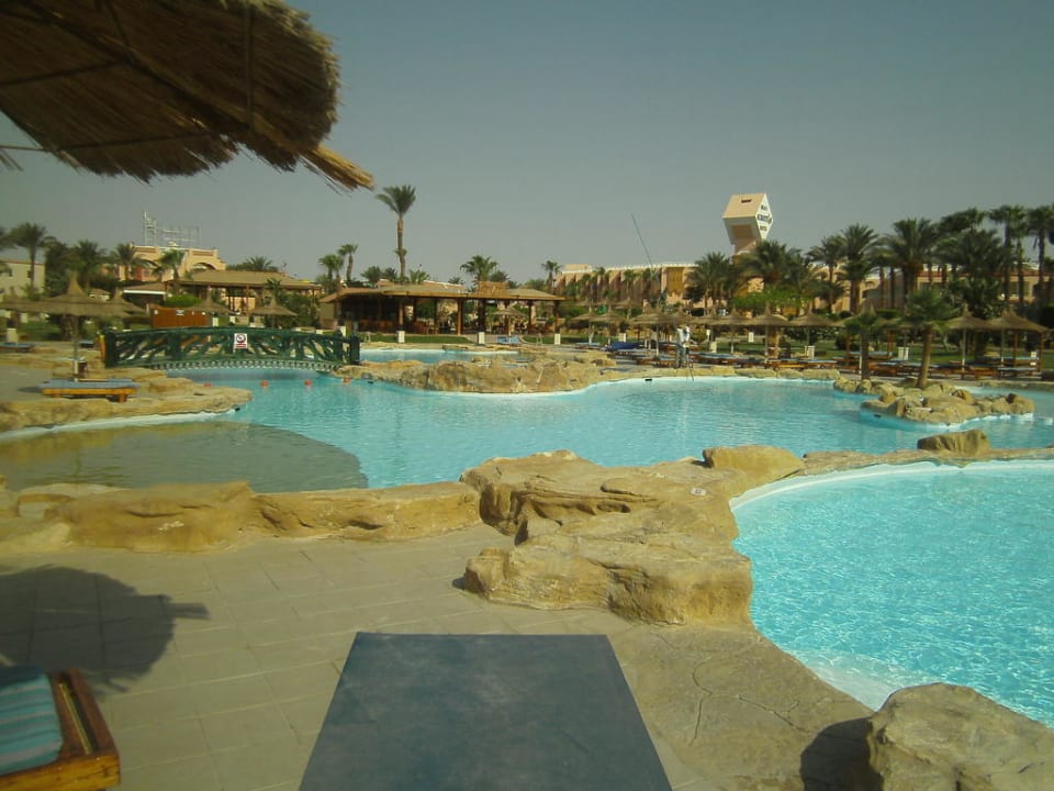 Pool Beach Albatros Resort