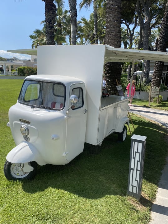 Gastro Papillon Ayscha