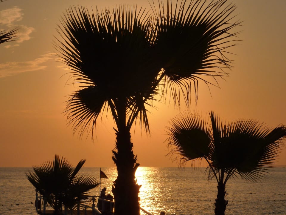 Sonnenuntergang Flora Garden Beach Hotel ( 16+ Adults Only )