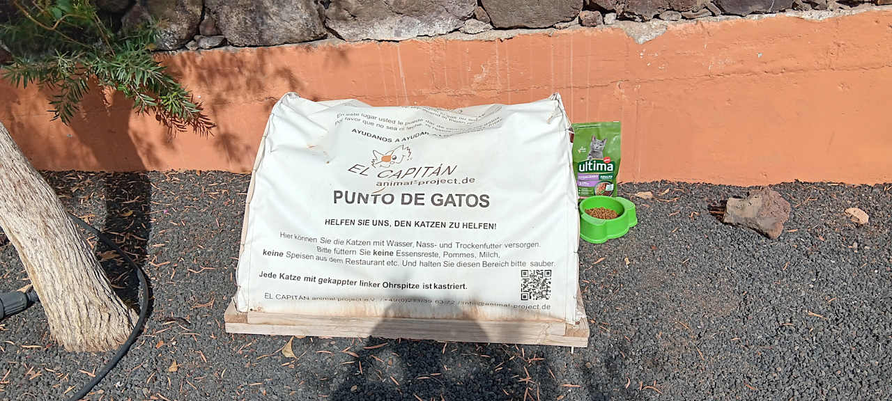 Gartenanlage Occidental Jandía Royal Level - Adults only