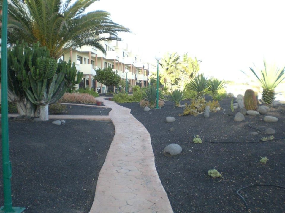 Gartenanlage an der Strandpromenade SBH Hotel Royal Monica