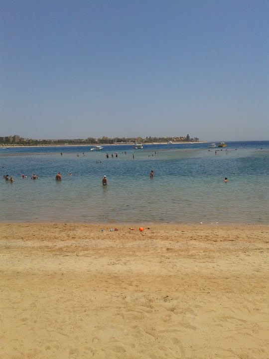 Blick auf den Strand Jaz Makadi Oasis Resort