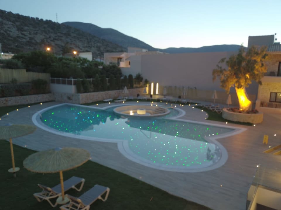 Pool Cactus Royal