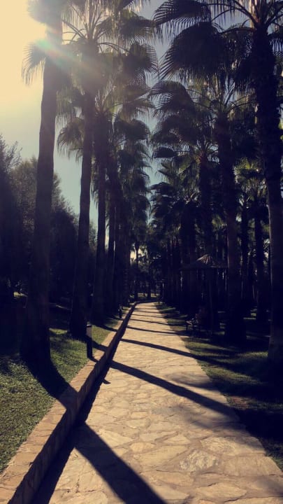 Gartenanlage Miramare Queen Hotel