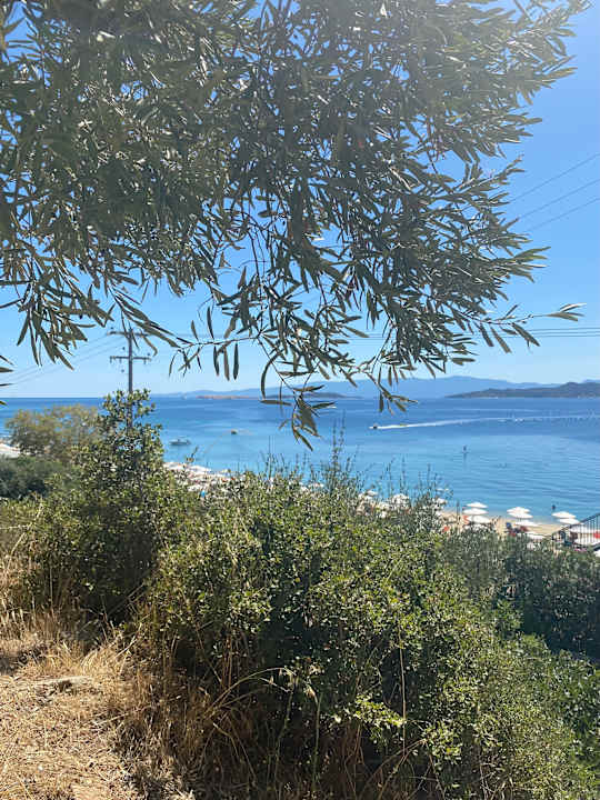 Ausblick Akrathos Beach Hotel