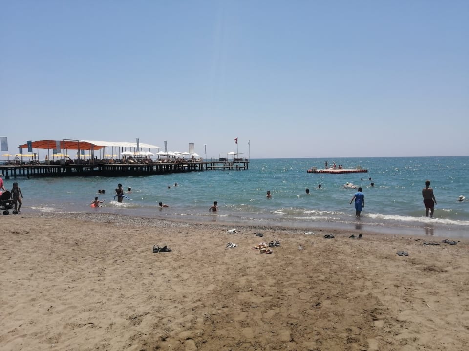 Strand Papillon Ayscha