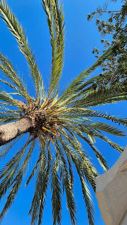 Sonstiges Seaden Corolla Hotel