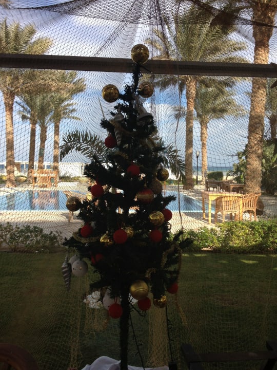 Ein Weihnachtsbäumchen unter Palmen Premier Le Reve Hotel & Spa