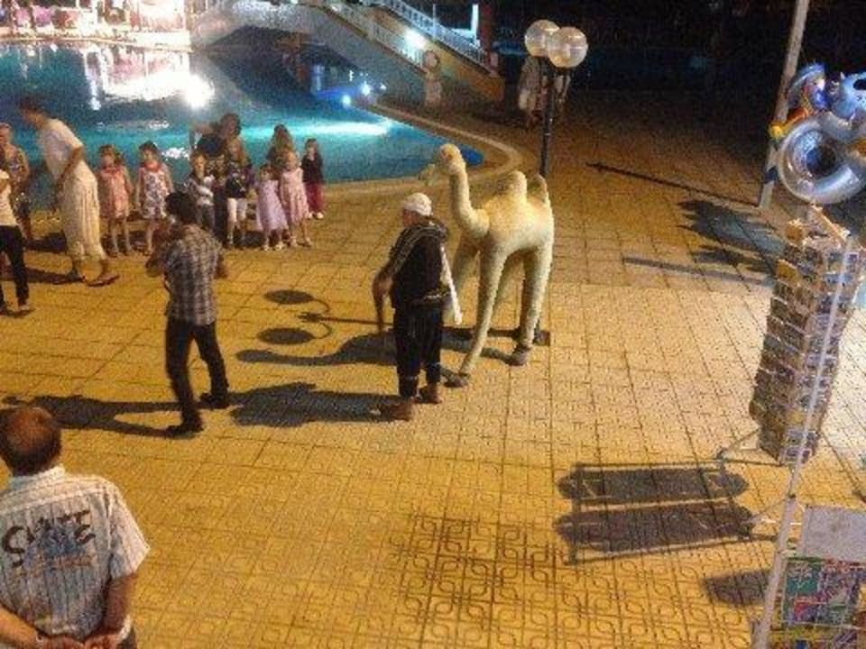 Show mit einer Schlange Caribbean World Thalasso Djerba