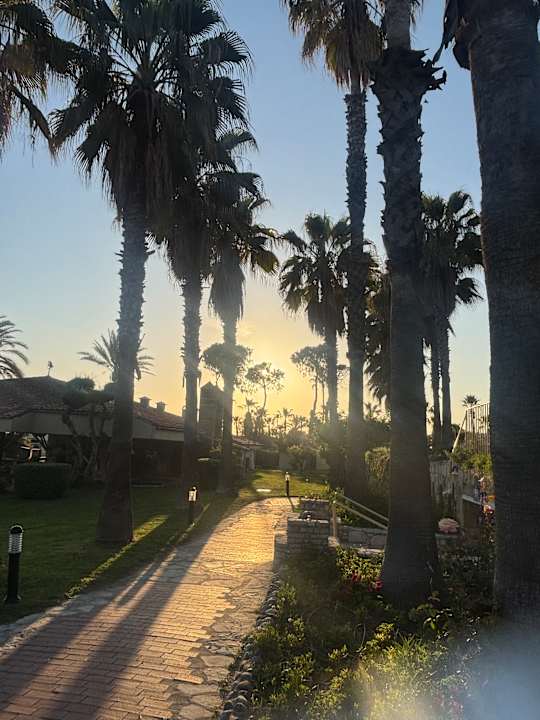 Gartenanlage Hotel Defne Garden