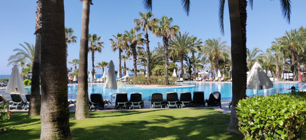 Pool Kamelya Aishen Club