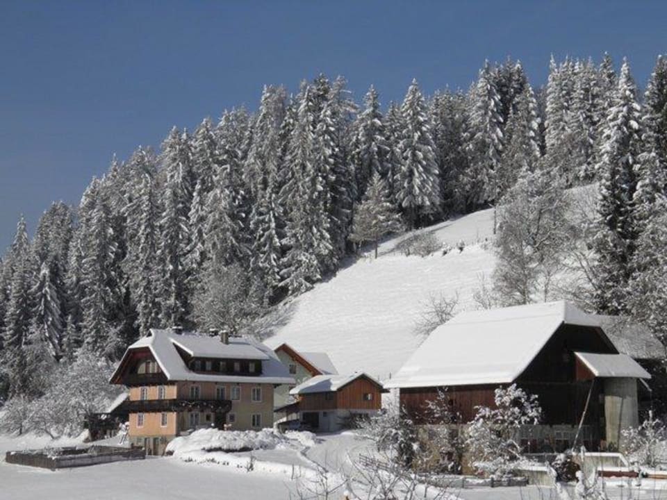 Oberrainerhof Ferienwohnung am Oberrainerhof