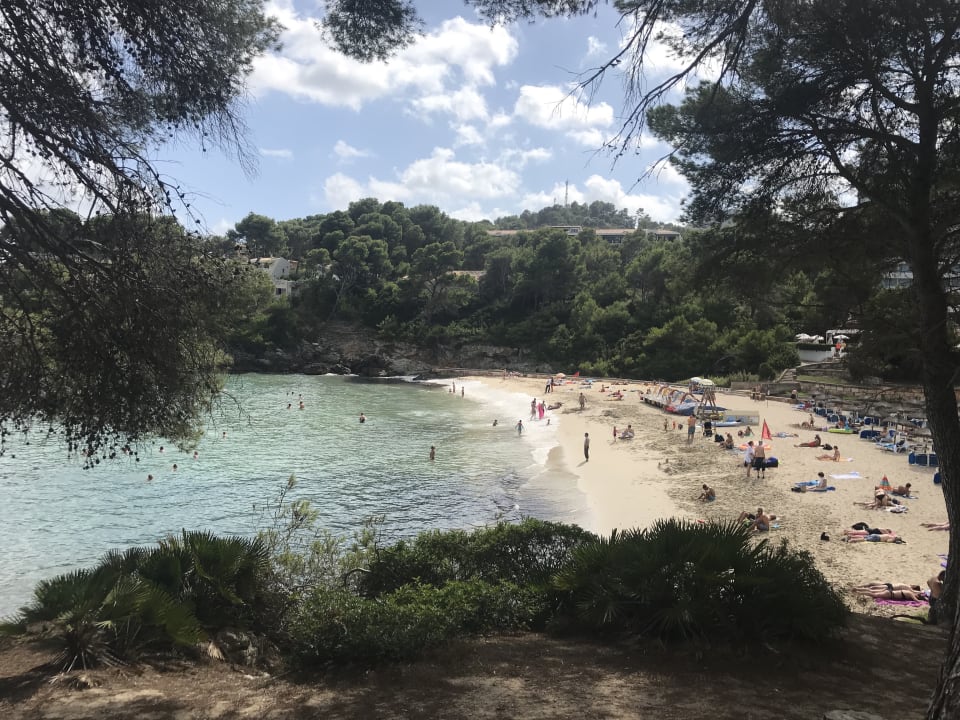 Strand Iberostar Waves Pinos Park