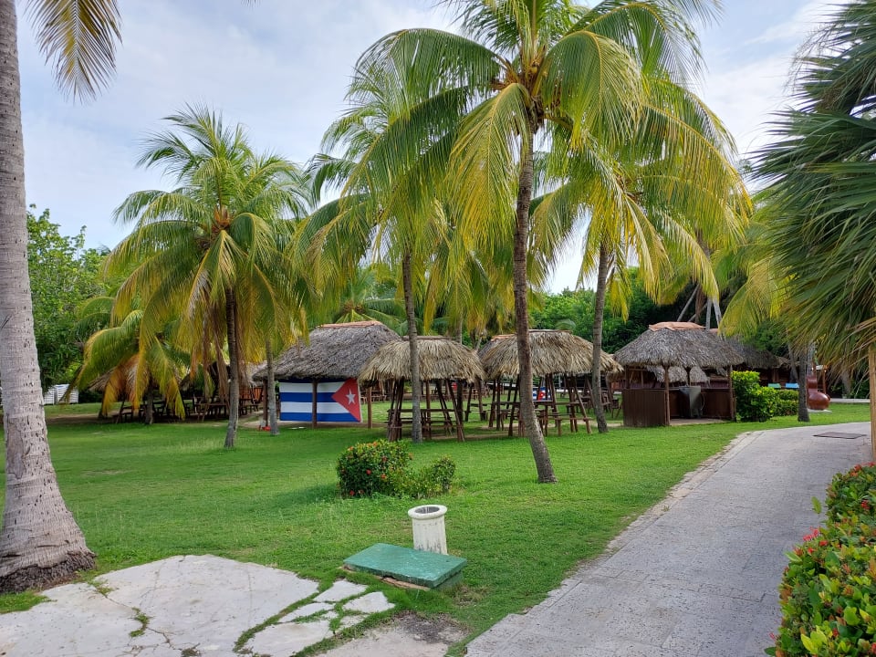 Gartenanlage Melia Las Antillas - Adults only