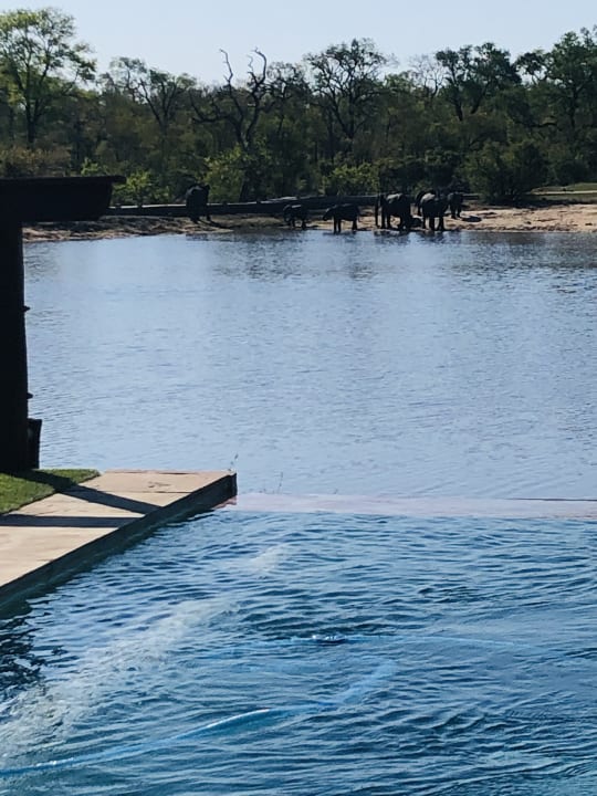 Pool Hotel Arathusa Safari Lodge