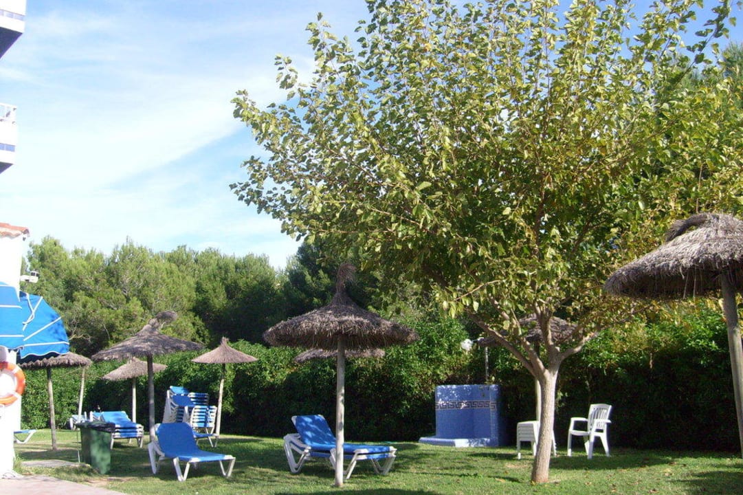 Liegewiese Hotel Boreal