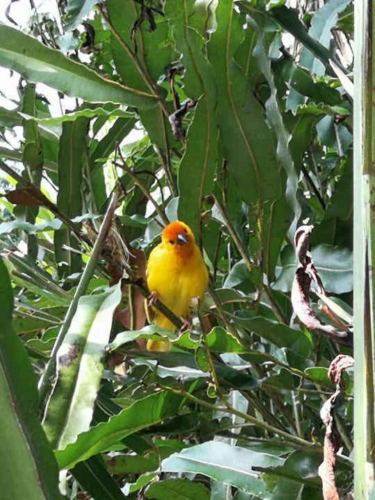 Gartenanlage Bahari Beach Hotel