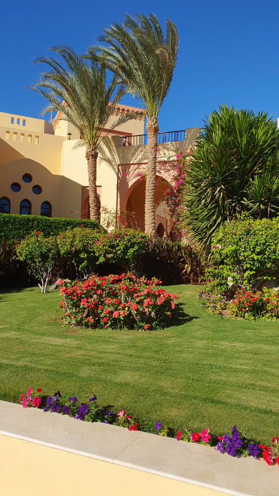 Gartenanlage Steigenberger Coraya Beach - Adults only