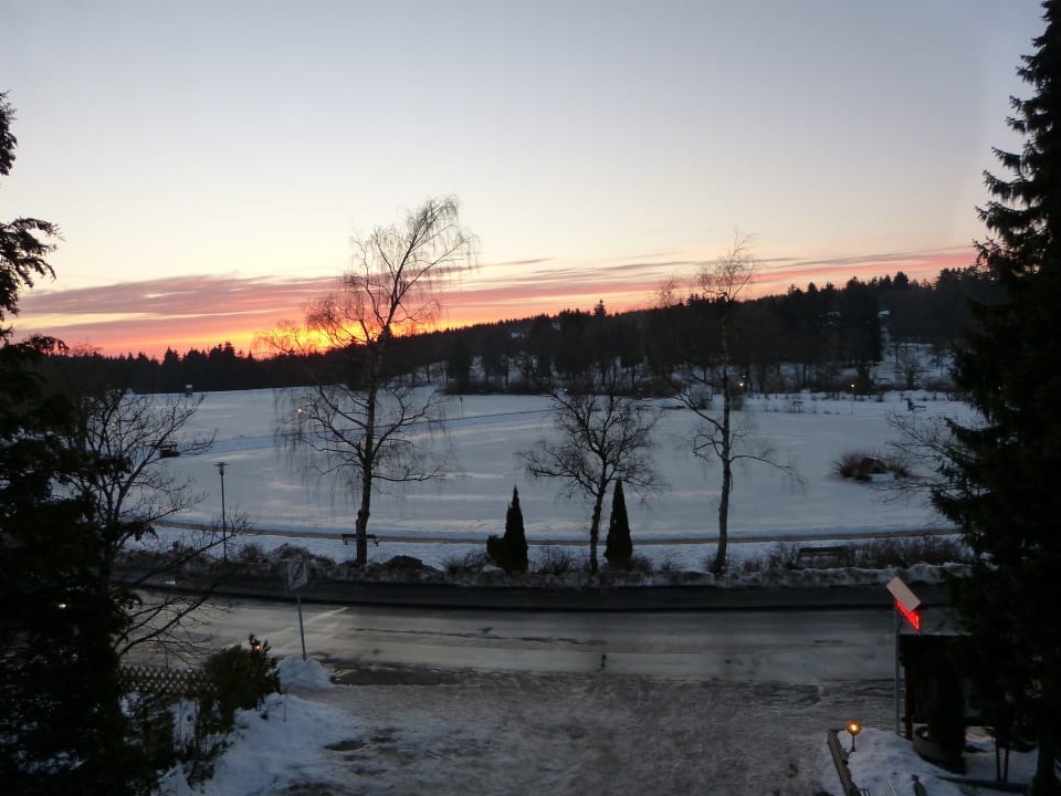 Aussicht aus dem Hotel Hotel Garni Blackcoms Erika