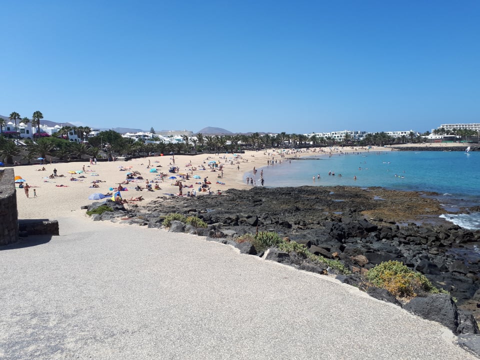 Strand allsun App.-Hotel Albatros