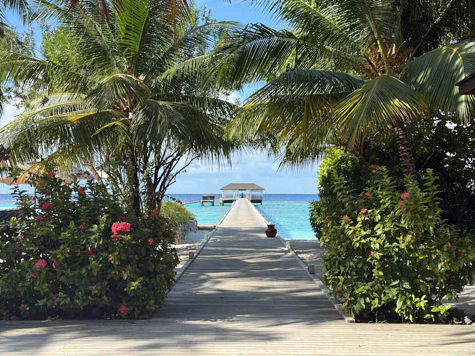 Ausblick ROBINSON NOONU