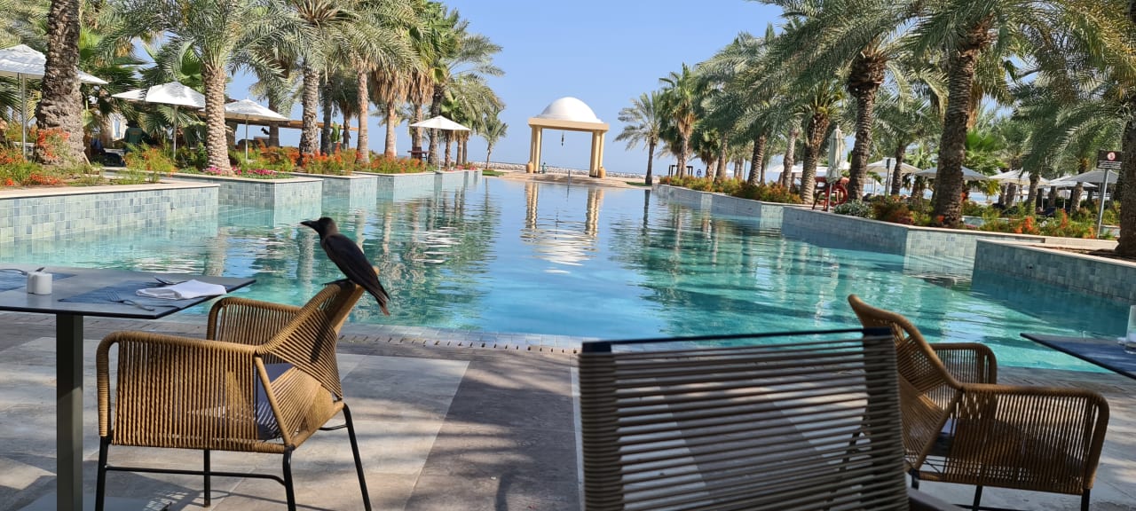 Pool Rixos Al Mairid Ras Al Khaimah