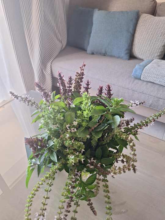 Zimmer Iberotel Casa Del Mar Resort