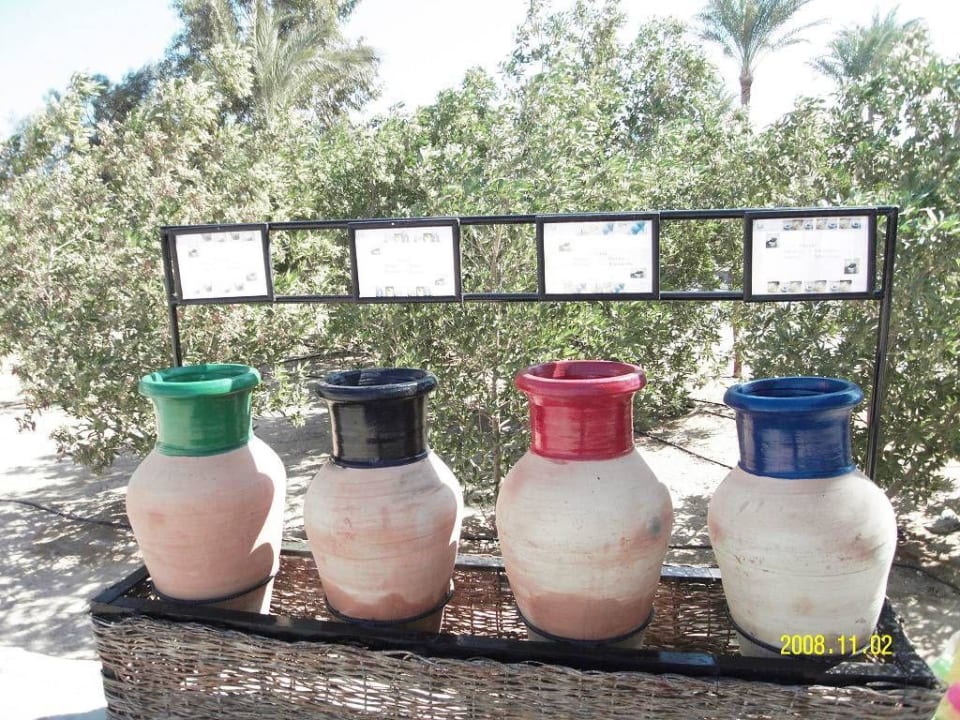 Gartenanlage mit Wertstofftrennung Jaz Makadi Oasis Resort