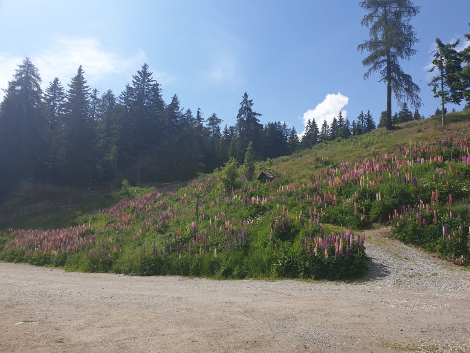 Außenansicht Oberhauser Hütte Rodenecker-Lüsneralm