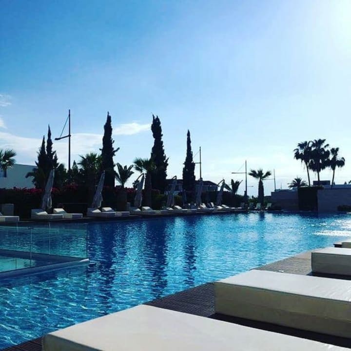 Pool Hotel Nestor