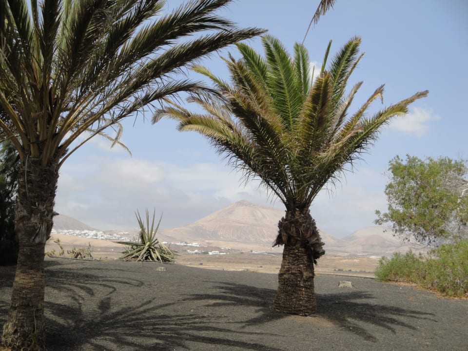 Ausblick Hipotels La Geria