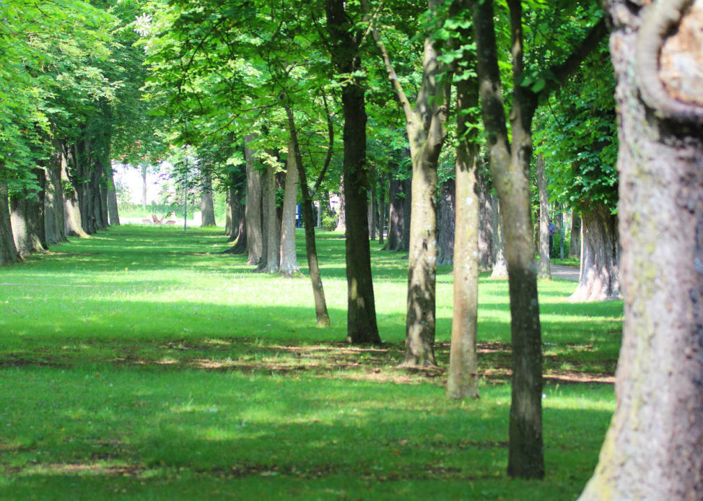 Ausblick Reichel's Parkhotel