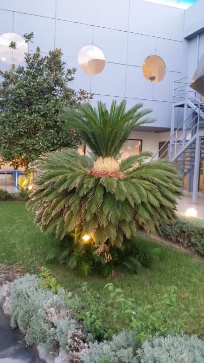 Garten Hotel Calypso Beach