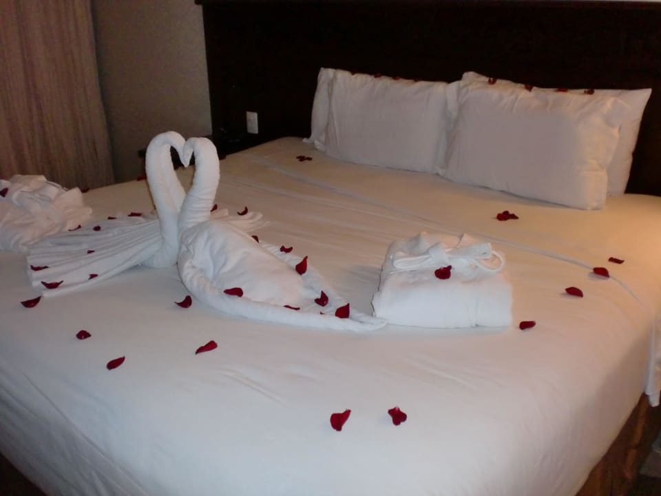 So wurden wir empfangen /Honeymoon BlueBay Grand Esmeralda